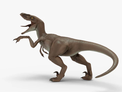 Realistic Velociraptor Rigged 3D Model