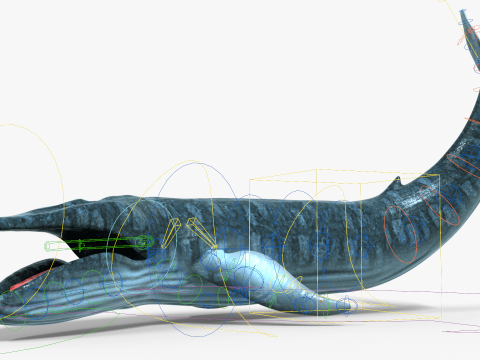 Realistic Blue Whale Rigged 3D 模型