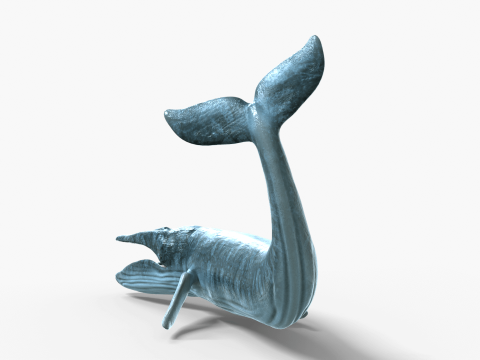 Realistic Blue Whale Rigged 3D Model