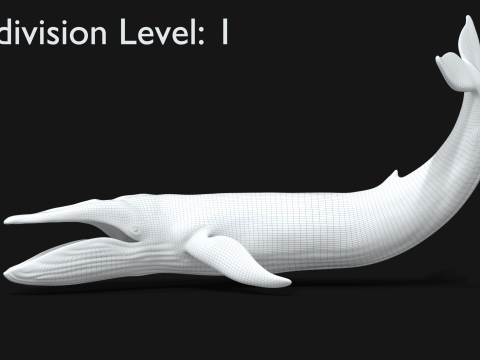 Realistic Blue Whale Rigged 3D Model