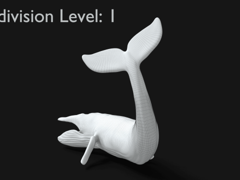 Realistic Blue Whale Rigged 3D Model