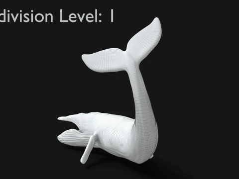Realistic Blue Whale Rigged 3D Model
