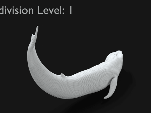 Realistic Blue Whale Rigged 3D Model