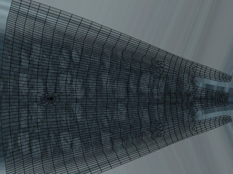 Realistic Blue Whale Rigged 3D Model