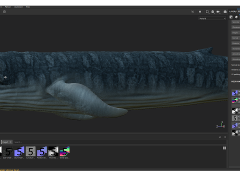 Realistic Blue Whale Rigged 3D Model