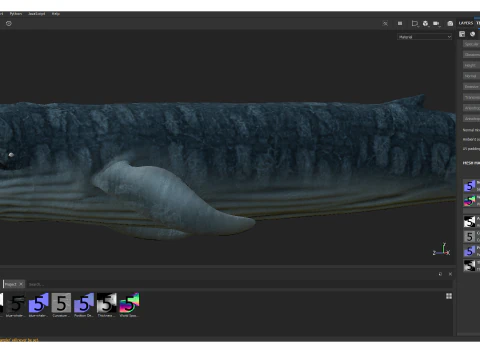 Realistic Blue Whale Rigged 3D Model
