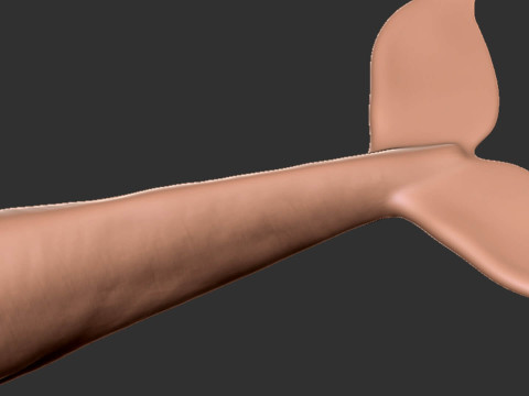 Realistic Blue Whale Rigged 3D Model