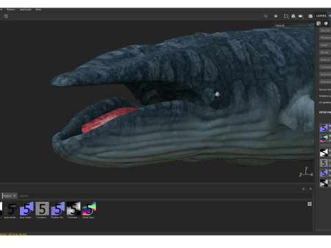 Realistic Blue Whale Rigged 3D Model