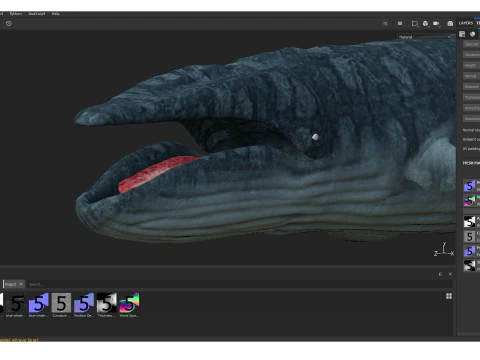 Realistic Blue Whale Rigged 3D Model