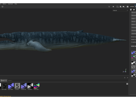 Realistic Blue Whale Rigged 3D Model