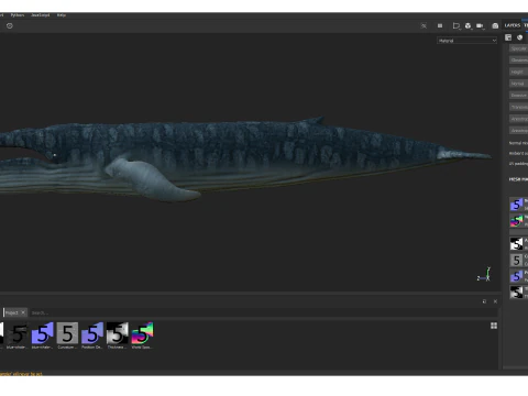 Realistic Blue Whale Rigged 3D Model