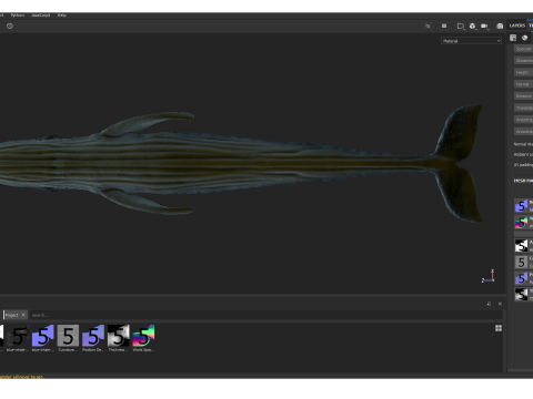 Realistic Blue Whale Rigged 3D Model