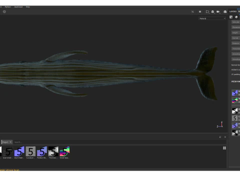 Realistic Blue Whale Rigged 3D Model
