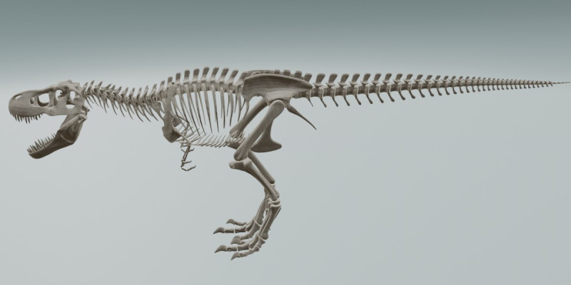 Реалістичний скелет динозавра T-Rex 3D Модель .c4d .max .obj .3ds .fbx .stl .blend