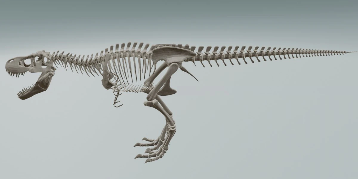 Realistic T-Rex Dinosaur Skeleton 3D Model .c4d .max .obj .3ds .fbx .stl .blend
