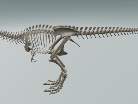リアルなティラノサウルス恐竜の骨格 3Dモデル