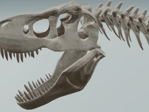 Realistic T-Rex Dinosaur Skeleton 3D Model