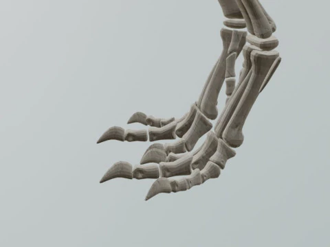 Realistic T-Rex Dinosaur Skeleton 3D Model