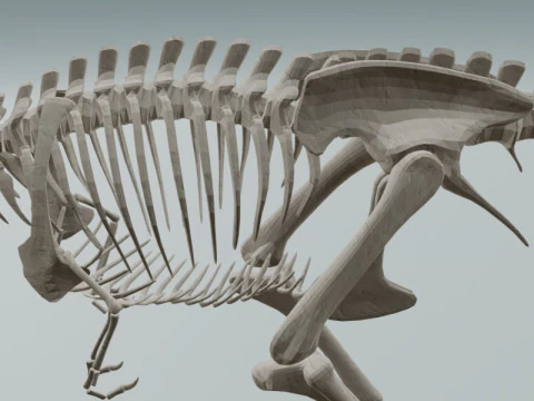 Realistic T-Rex Dinosaur Skeleton 3D Model
