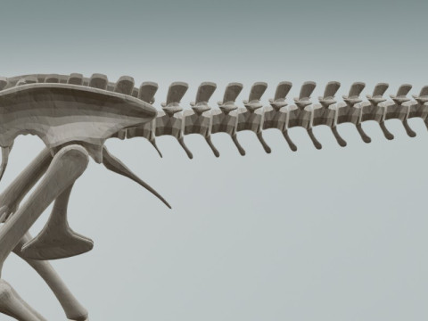 Реалістичний скелет динозавра T-Rex 3D Модель