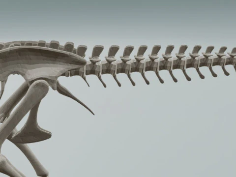 Realistic T-Rex Dinosaur Skeleton 3D Model