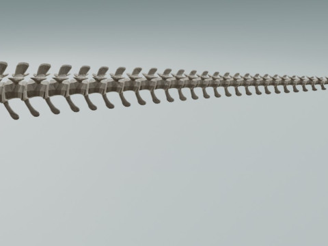 Реалістичний скелет динозавра T-Rex 3D Модель