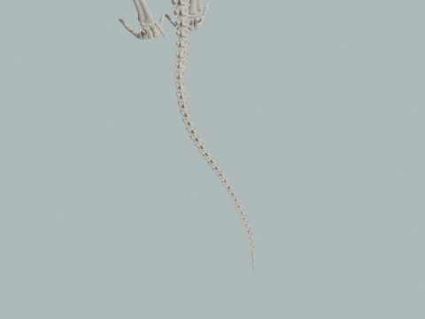 Реалістичний скелет динозавра T-Rex 3D Модель