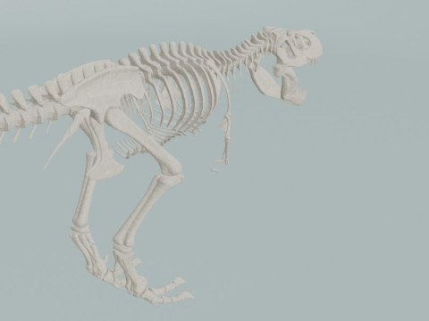 Реалістичний скелет динозавра T-Rex 3D Модель