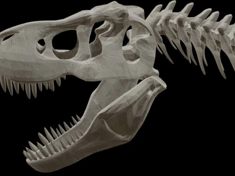 Realistic T-Rex Dinosaur Skeleton 3D Model