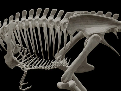 Realistic T-Rex Dinosaur Skeleton 3D Model
