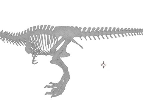 Realistic T-Rex Dinosaur Skeleton 3D Model