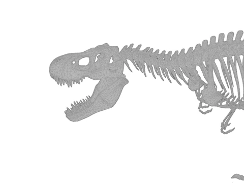Realistic T-Rex Dinosaur Skeleton 3D Model