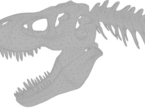 Realistic T-Rex Dinosaur Skeleton 3D Model