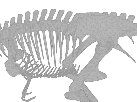 Realistic T-Rex Dinosaur Skeleton 3D Model