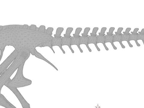 Realistic T-Rex Dinosaur Skeleton 3D Model