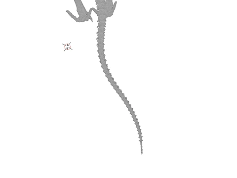 Realistic T-Rex Dinosaur Skeleton 3D Model