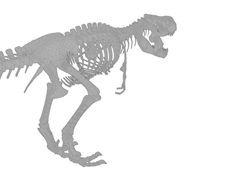 Realistic T-Rex Dinosaur Skeleton 3D Model