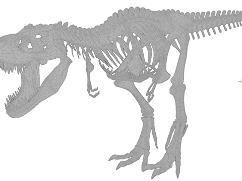 Реалістичний скелет динозавра T-Rex 3D Модель