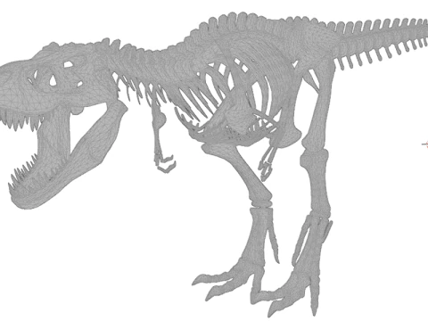 Realistic T-Rex Dinosaur Skeleton 3D Model