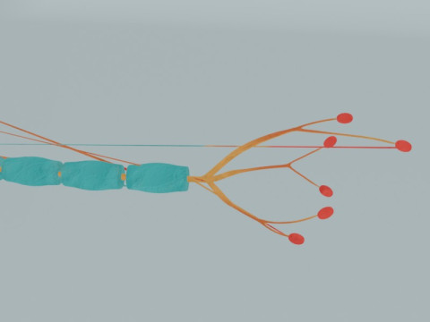 Anatomia detalhada das células nervosas de células neuronais realistas Modelo 3D
