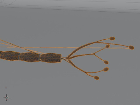 Anatomia detalhada das células nervosas de células neuronais realistas Modelo 3D