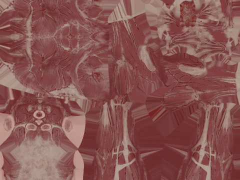 Struktur Anatomi Tubuh Penuh Anatomi Otot Manusia yang Realistis Model 3D