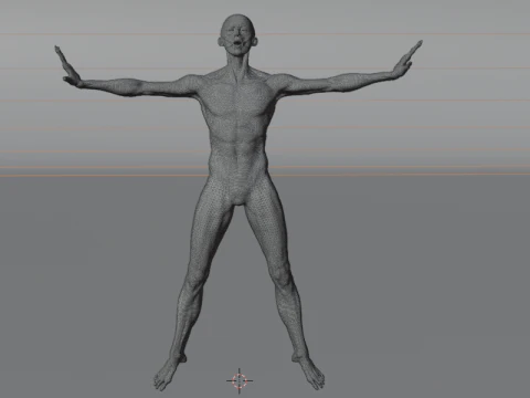 Struktur Anatomi Tubuh Penuh Anatomi Otot Manusia yang Realistis Model 3D