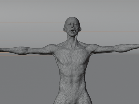 Anatomía Del Músculo Humano Realista Estructura Anatómica De Cuerpo Completo Modelo 3D