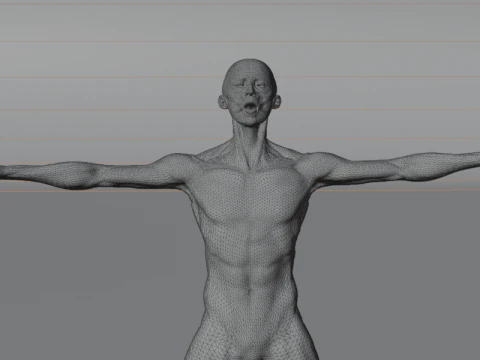 Struktur Anatomi Tubuh Penuh Anatomi Otot Manusia yang Realistis Model 3D