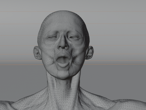Anatomía Del Músculo Humano Realista Estructura Anatómica De Cuerpo Completo Modelo 3D