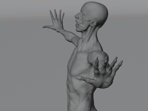 Anatomía Del Músculo Humano Realista Estructura Anatómica De Cuerpo Completo Modelo 3D
