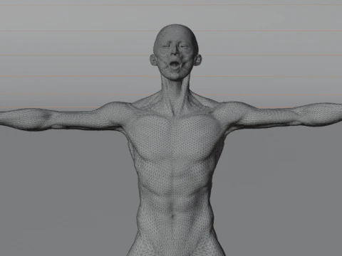 Struktur Anatomi Tubuh Penuh Anatomi Otot Manusia yang Realistis Model 3D