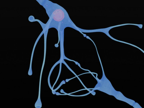 Neuron Sel Saraf Realistis Model 3D