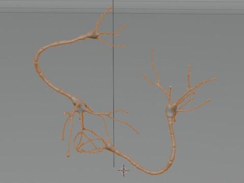 Neuron Sel Saraf Realistis Model 3D